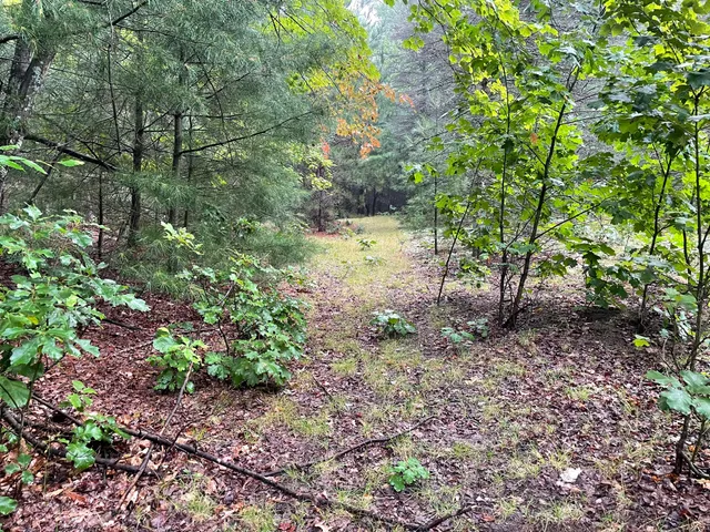 $375,000 | 11845 East 24th Street, Reed City, MI 49677