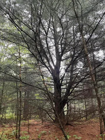 $375,000 | 11845 East 24th Street, Reed City, MI 49677