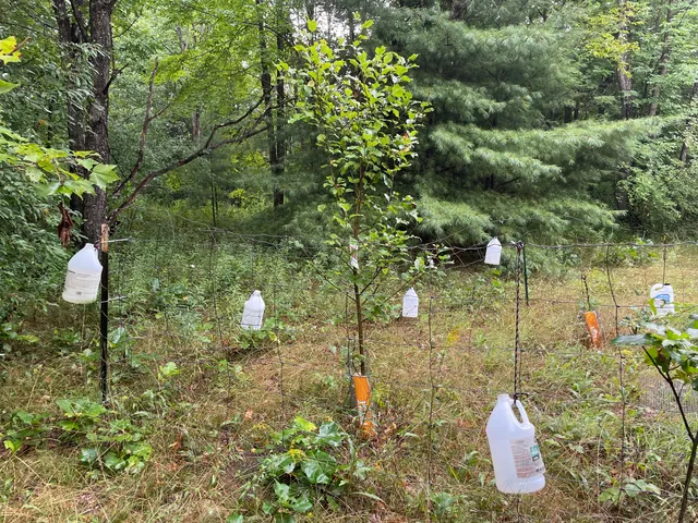 $375,000 | 11845 East 24th Street, Reed City, MI 49677