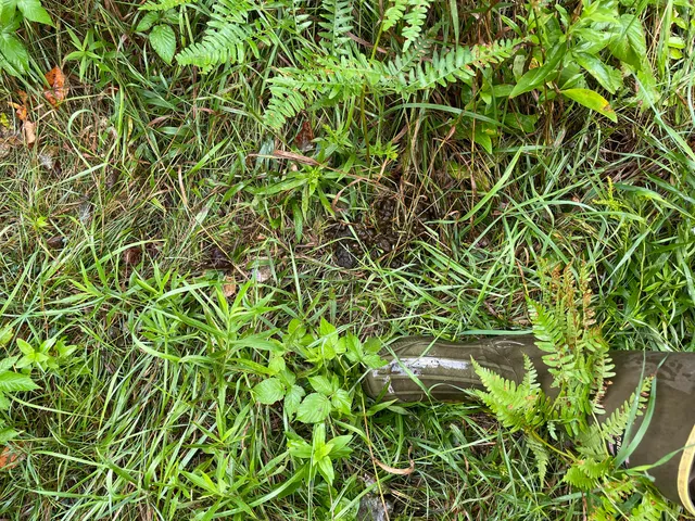 $375,000 | 11845 East 24th Street, Reed City, MI 49677