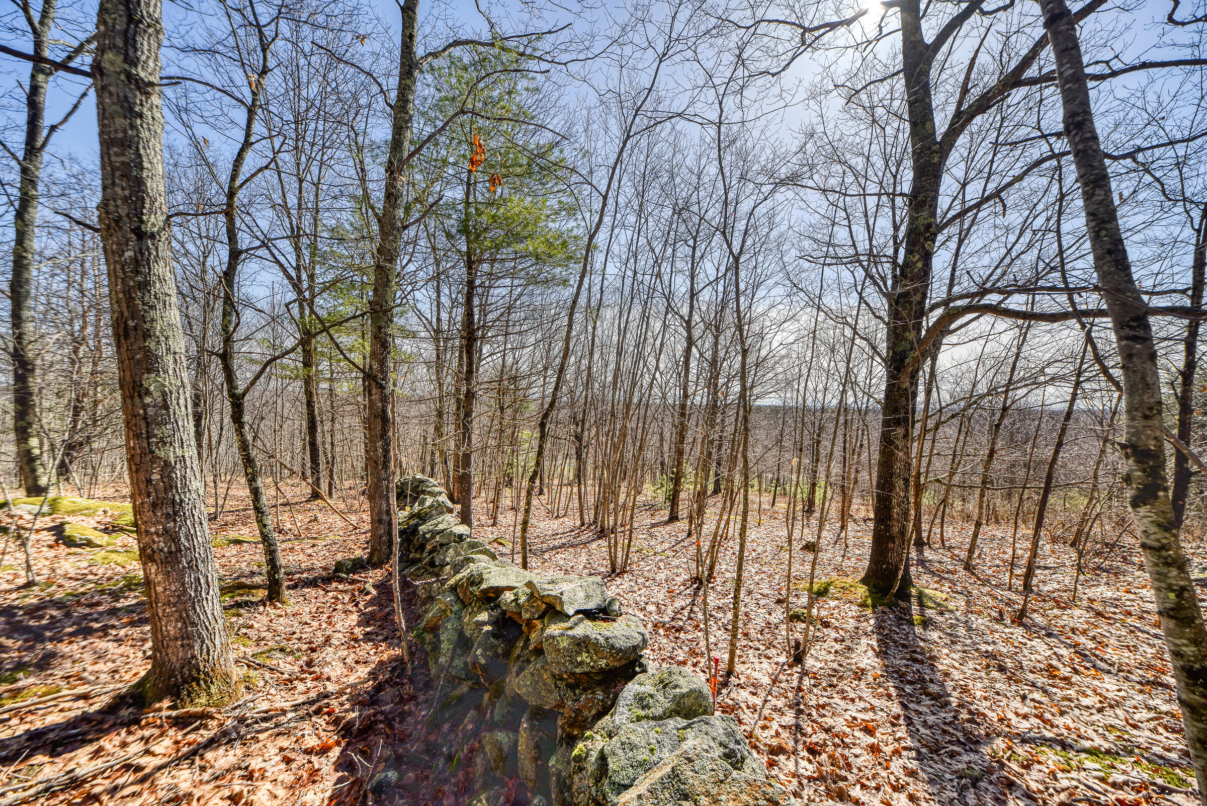 Lot 53-03 Langdon Road Richmond, ME 04357 - Photo 32 of 43 108695gr-117