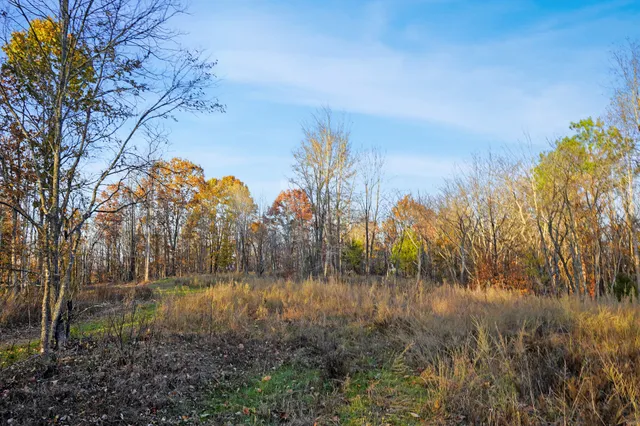 a view of an ocean and beach