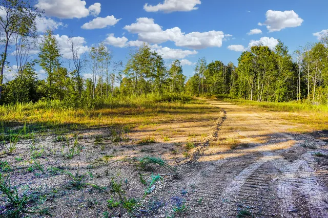a view of a yard with yellow house