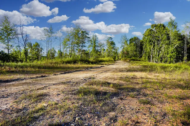 a view of backyard with green space