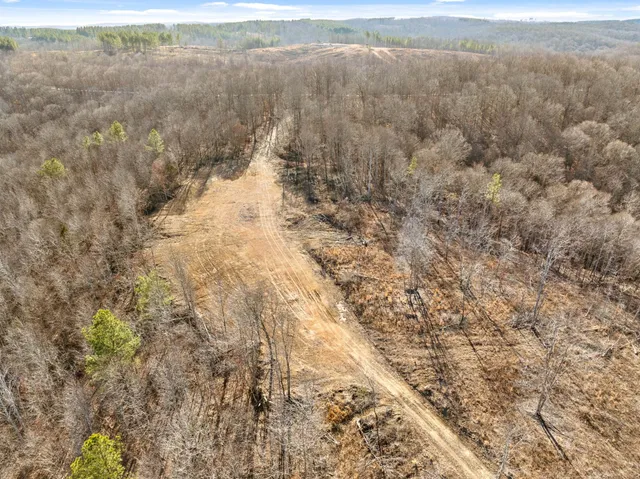 a view of a yard of a house