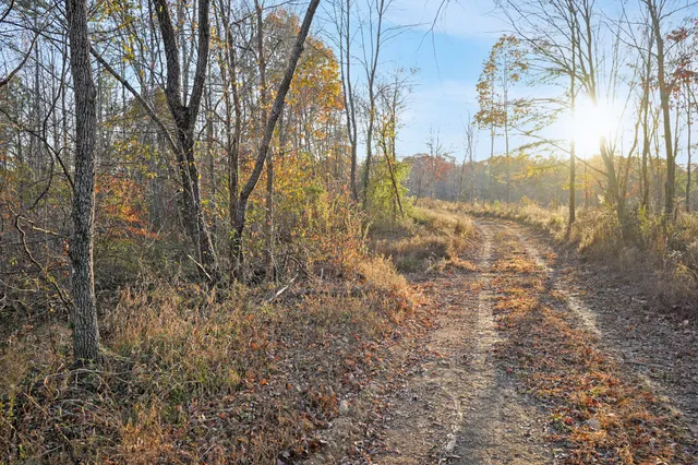a view of a yard covered with snow