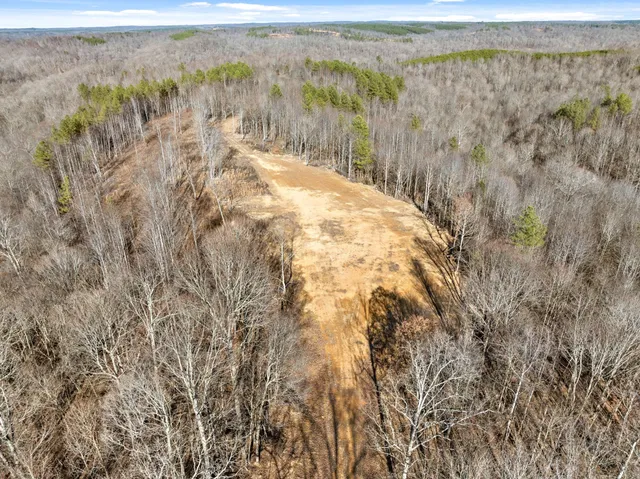 a view of a dry yard with wooden fence