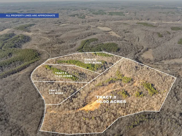 a view of swimming pool