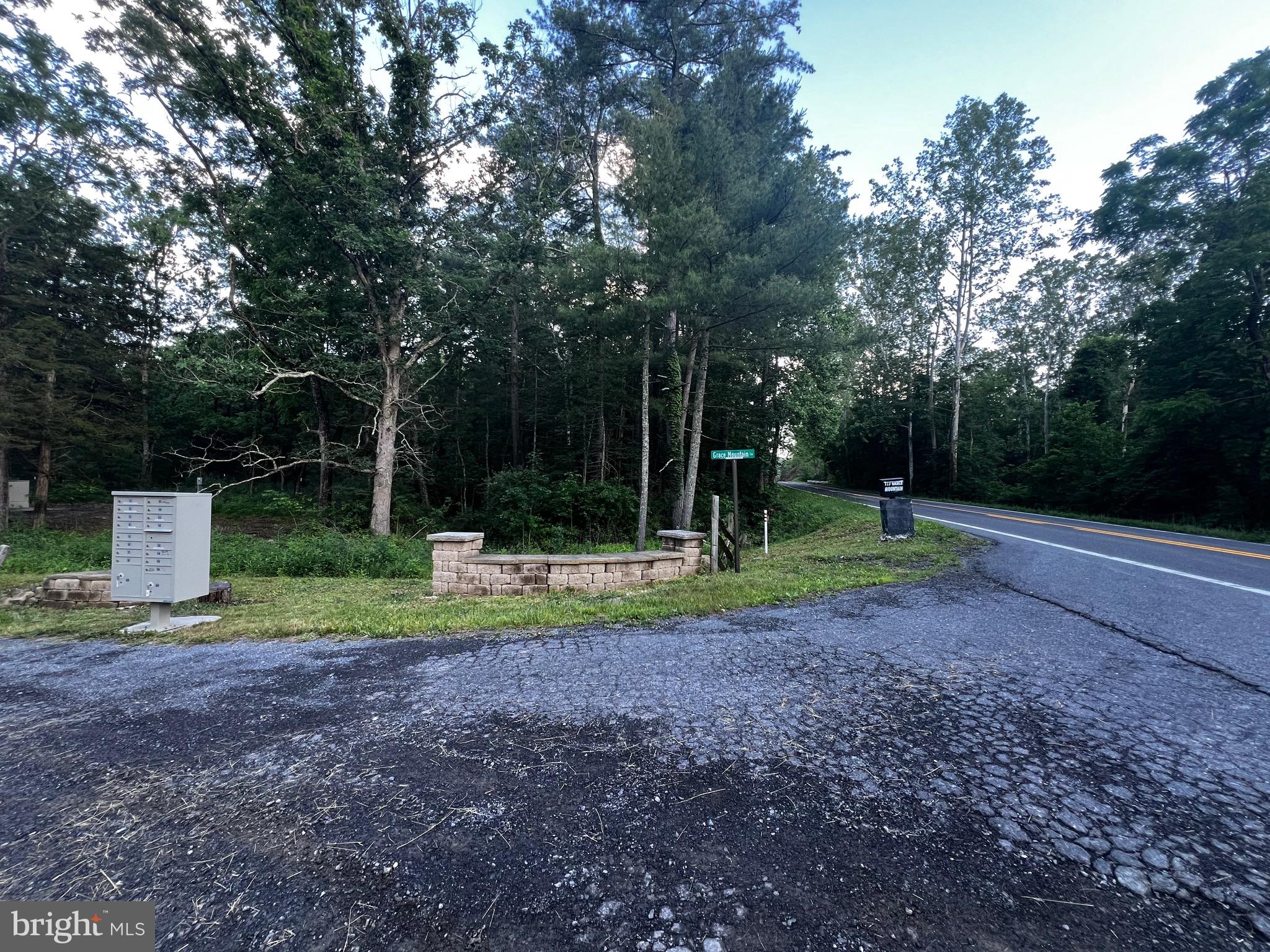 Lot 52 Grace Mountain Mathias, WV 26812 - Photo 30 of 34