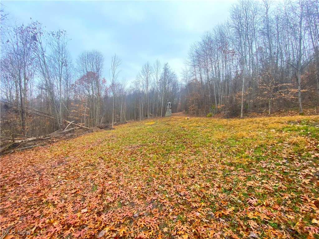 Standing Rock Road Kimbolton, OH 43749 - Photo 11 of 13 View of yard