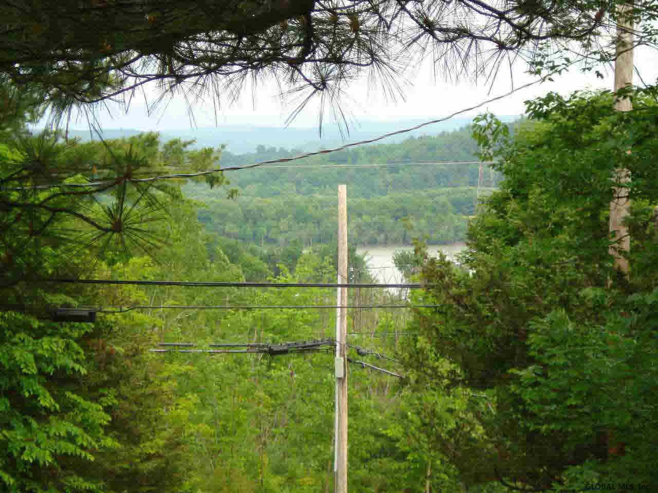 1 Blue Goose Road Clemons, NY 12819 - Photo 8 of 9 Photo 8