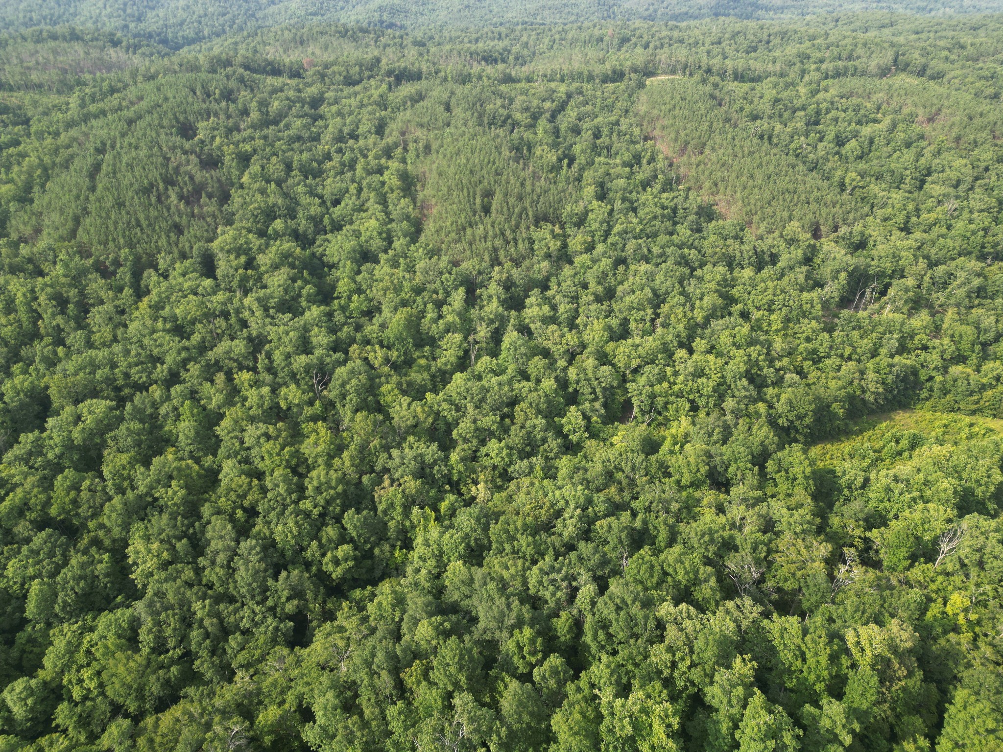 0 Toll Hollow Road Waynesboro, TN 38485 - Photo 31 of 43