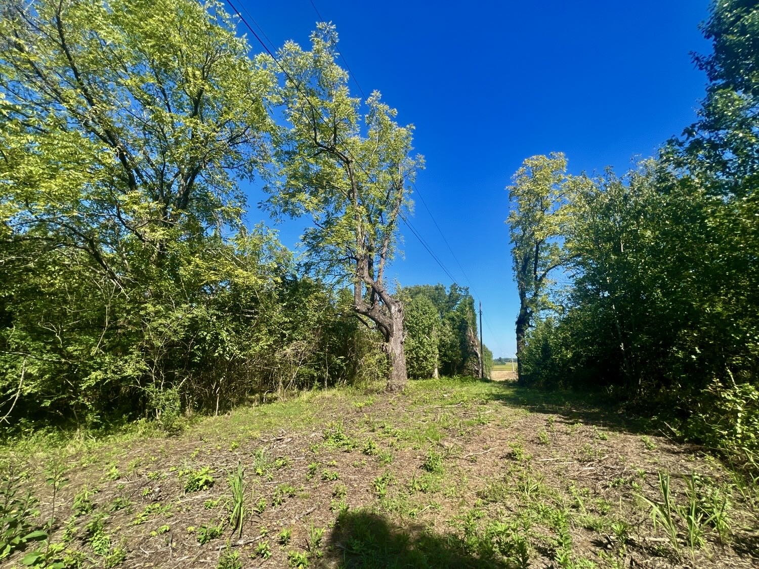 65 McKnight Road Humboldt, TN 38343 - Photo 7 of 10 Gallery Image 7