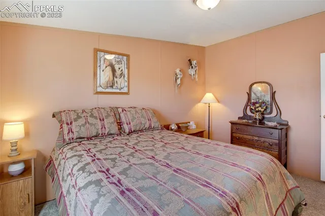 $448,900 | 7787 County Road 2A, Rush, CO 80833