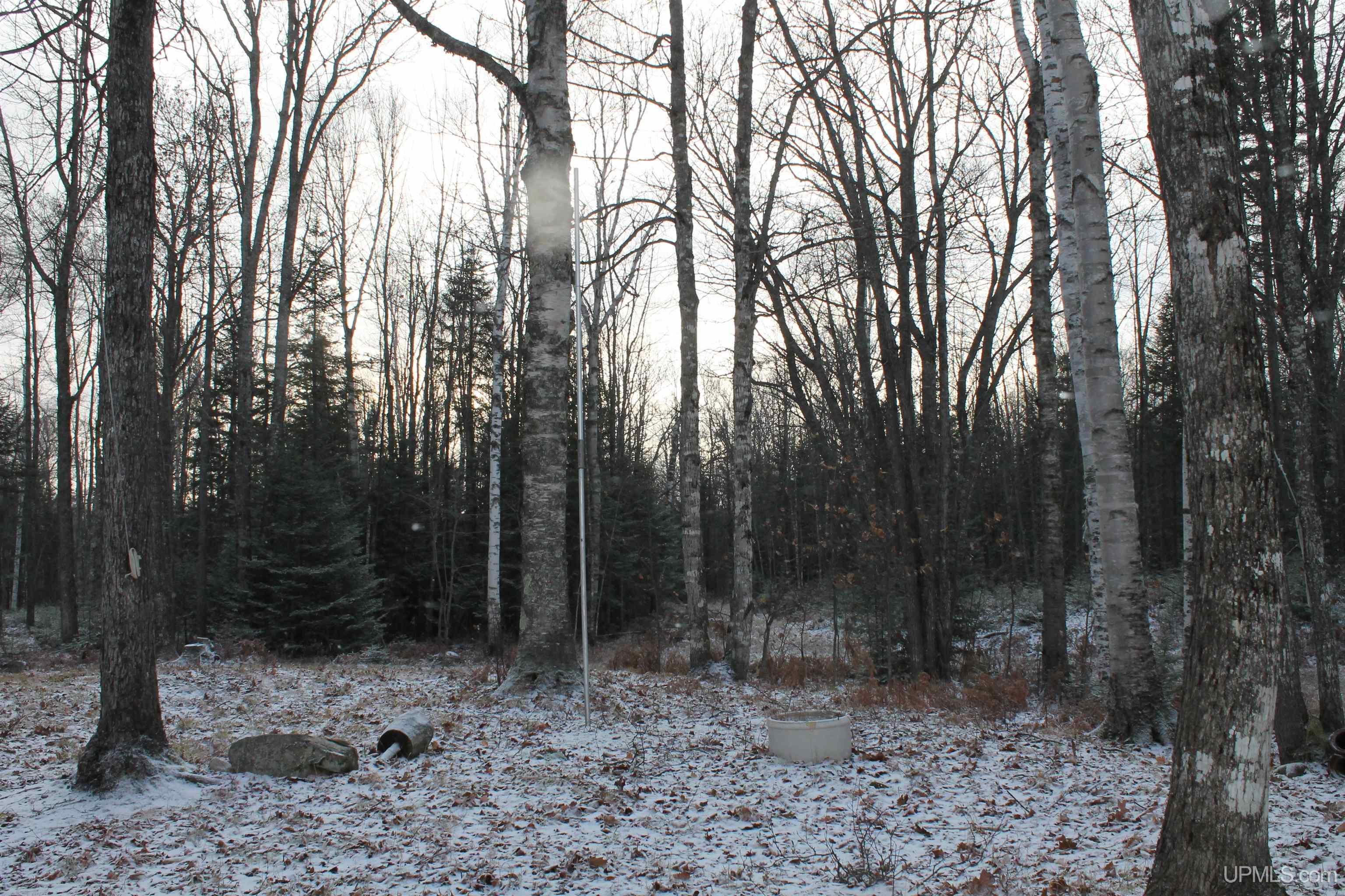 Tbd Wolf Lake Road, Unit 2 Champion, MI 49814 - Photo 33 of 35