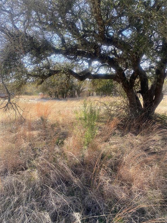 6036 Highway 84 Evant, TX 76525 - Photo 2 of 4