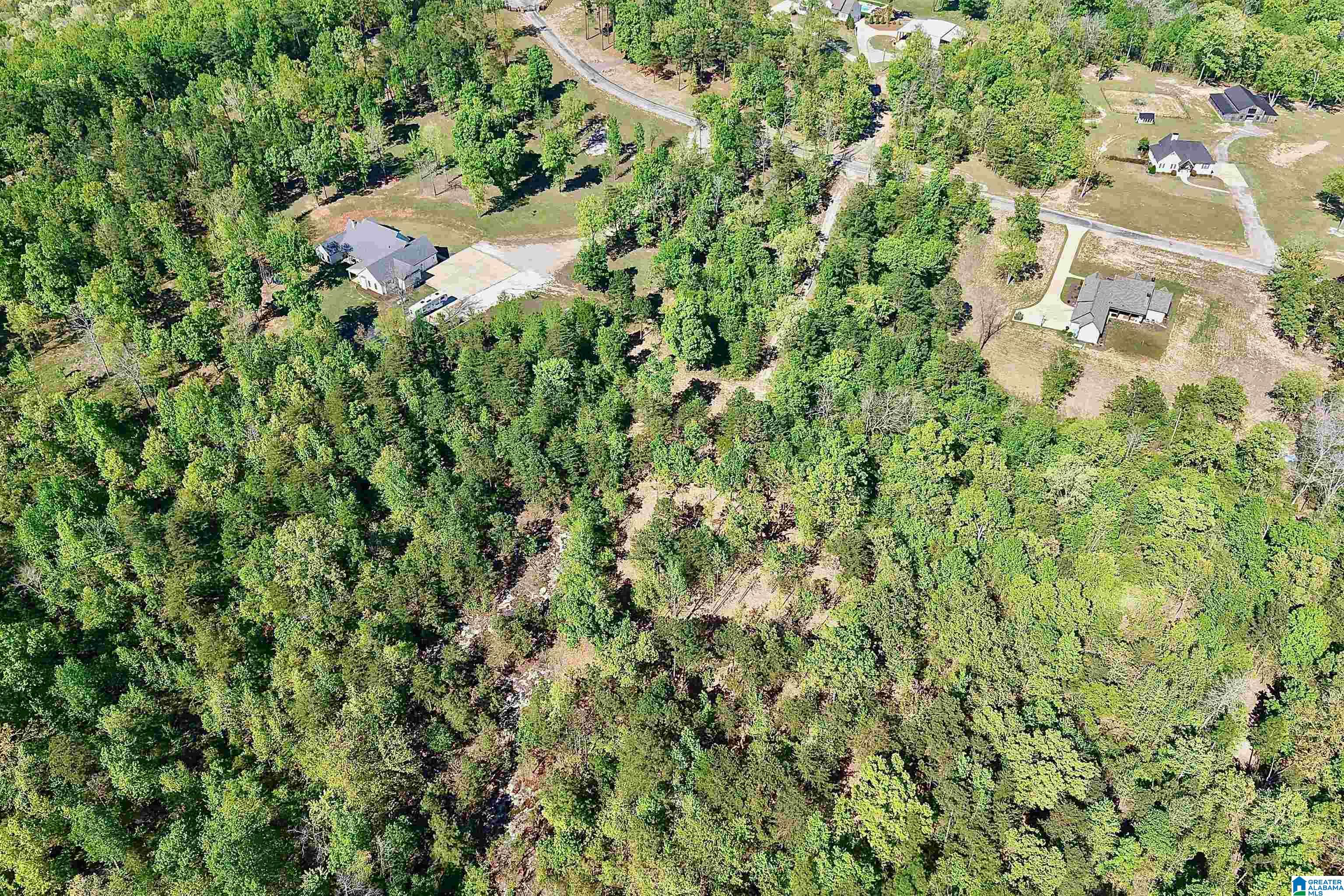 246 Spring Water Farms, Unit 2 Helena, AL 35022 - Photo 21 of 25