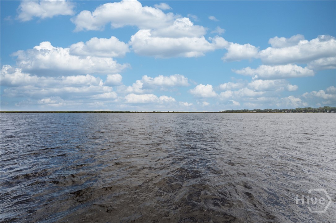 1102 River Oaks Drive Richmond Hill, GA 31324 - Photo 63 of 74