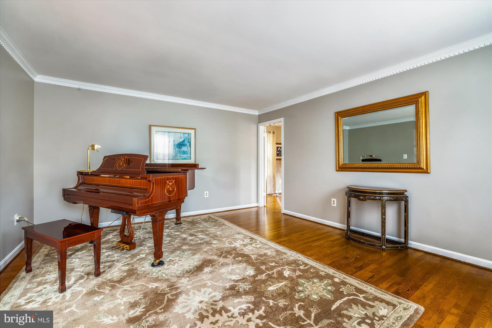 14625 Cutstone Way Silver Spring, MD 20905 - Photo 10 of 79 Living Room