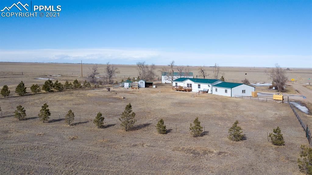 4270 Oil Well Road Yoder, CO 80864 - Photo 7 of 42 Established treeline.