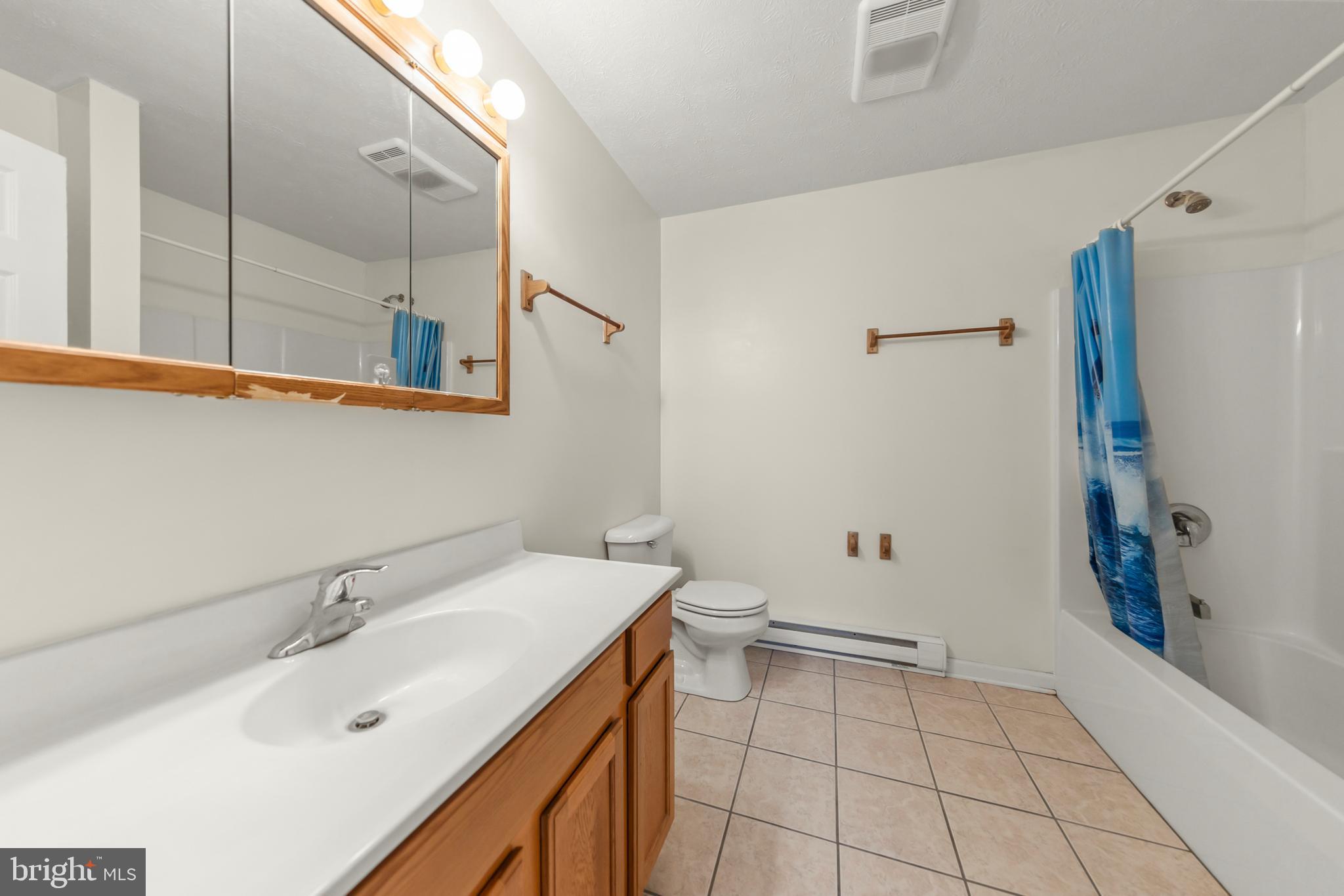 1060 Buffalo Rdg Road Augusta, WV 26704 - Photo 17 of 67 a bathroom with a sink and a mirror