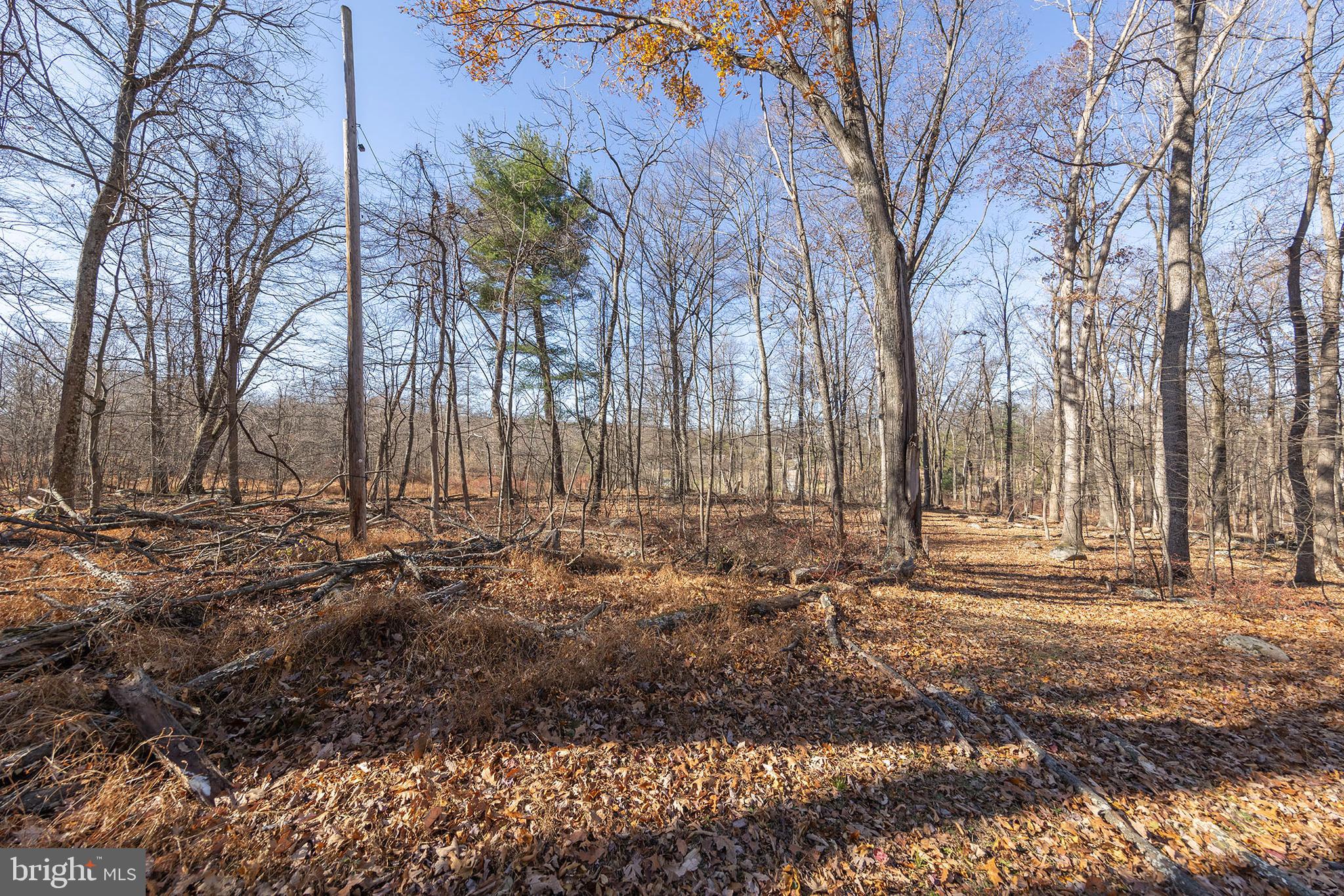 1060 Buffalo Rdg Road Augusta, WV 26704 - Photo 47 of 67 a view of outdoor space with trees