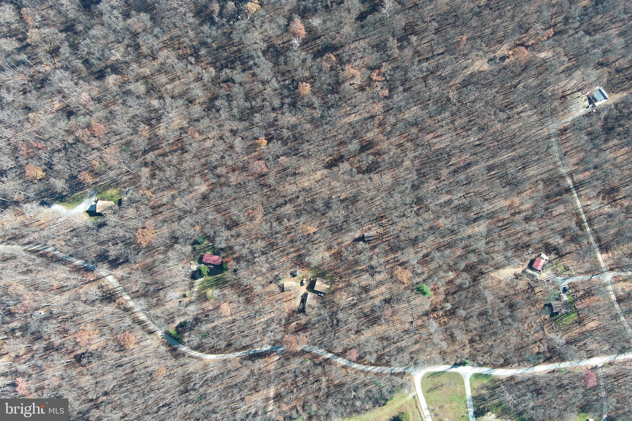 1060 Buffalo Rdg Road Augusta, WV 26704 - Photo 51 of 67 a view of statue in a forest