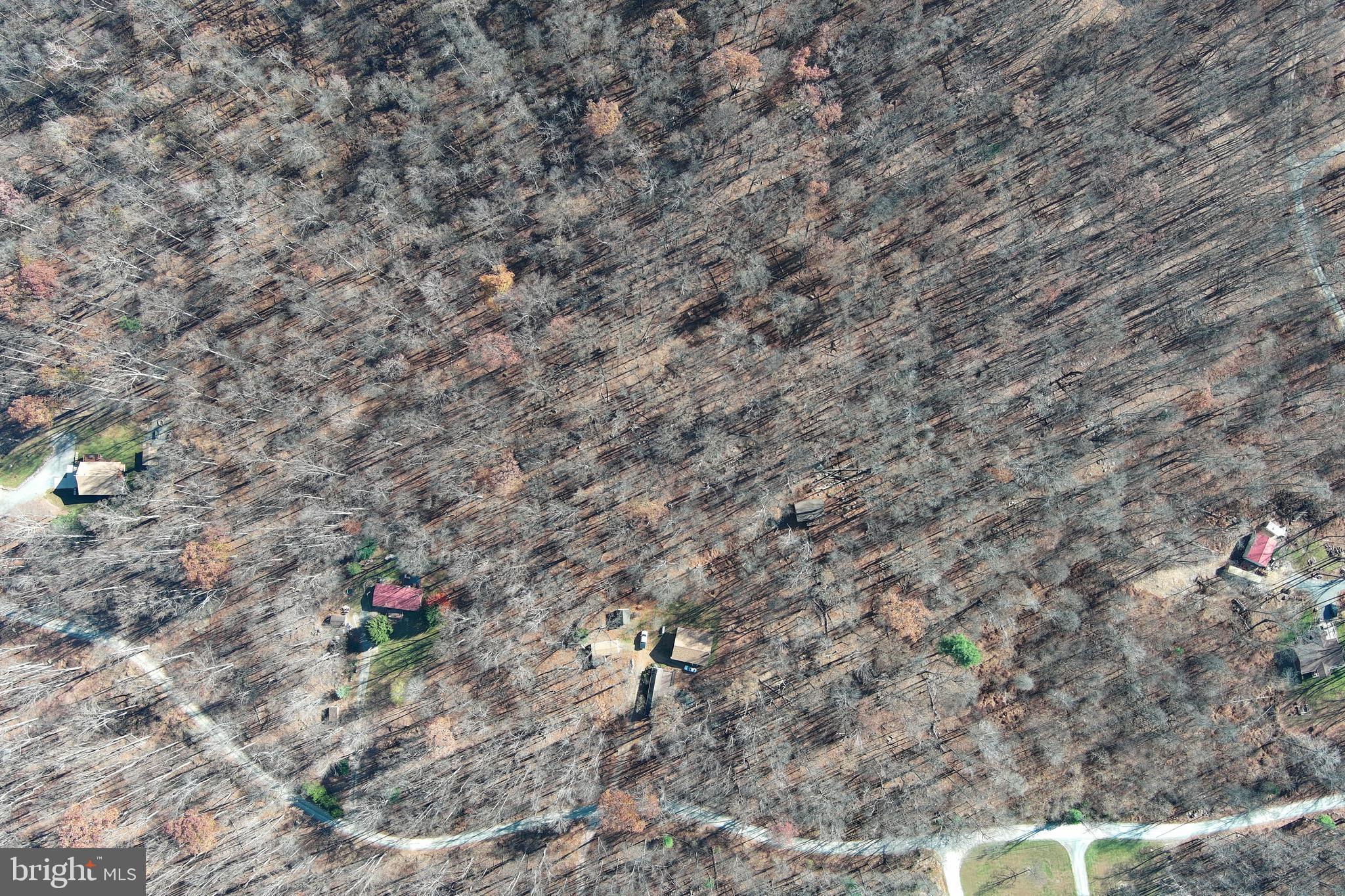 1060 Buffalo Rdg Road Augusta, WV 26704 - Photo 53 of 67