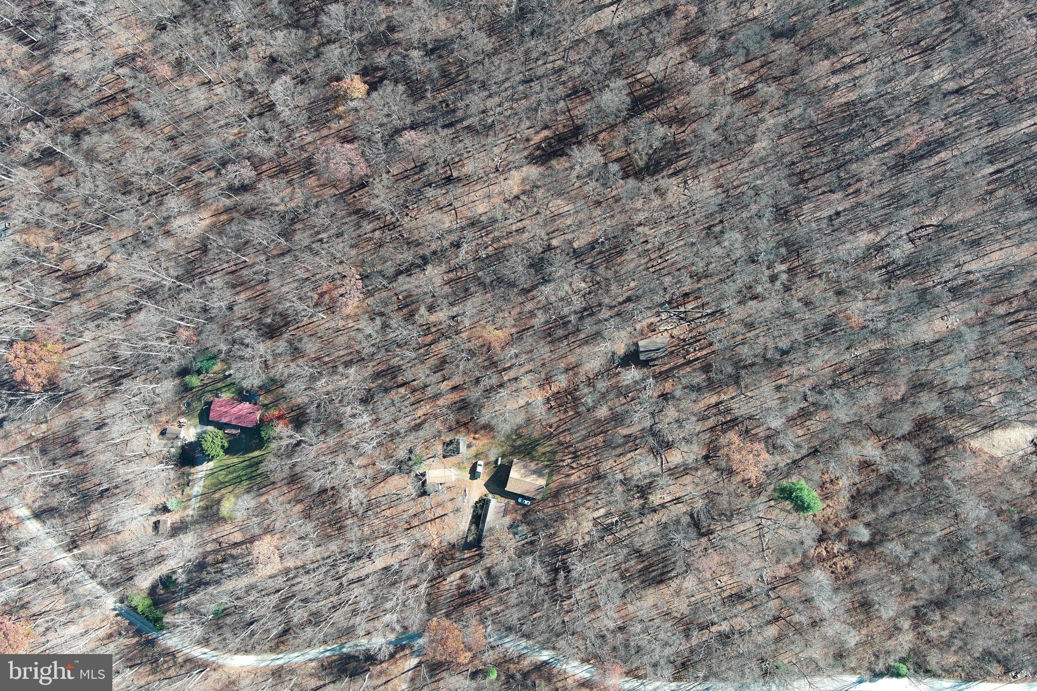1060 Buffalo Rdg Road Augusta, WV 26704 - Photo 55 of 67 a backyard of a house and a stove