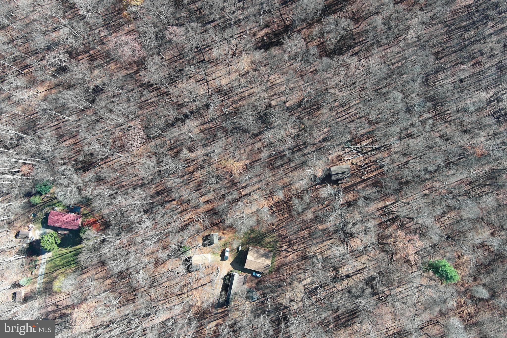 1060 Buffalo Rdg Road Augusta, WV 26704 - Photo 56 of 67