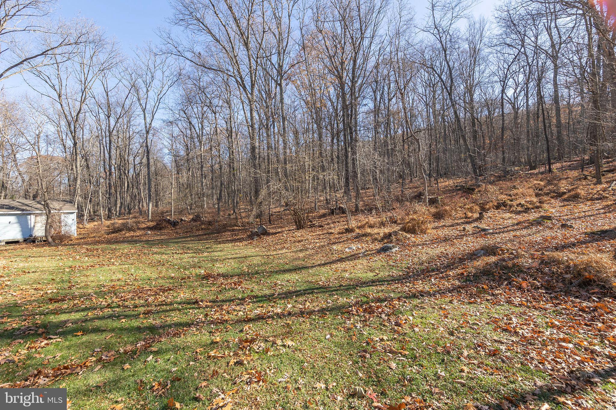 1060 Buffalo Rdg Road Augusta, WV 26704 - Photo 65 of 67 a view of a backyard with large trees
