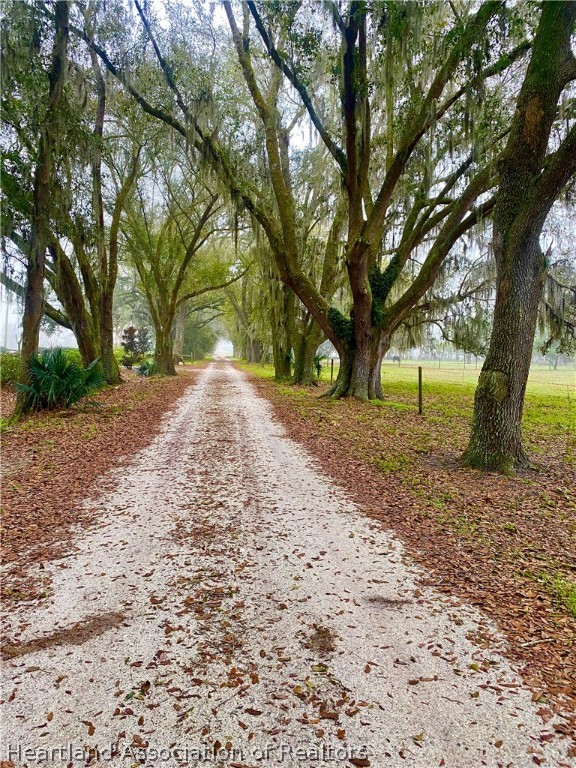 538 Hayman Road Wauchula, FL 33873 - Photo 21 of 21 a view of road with trees