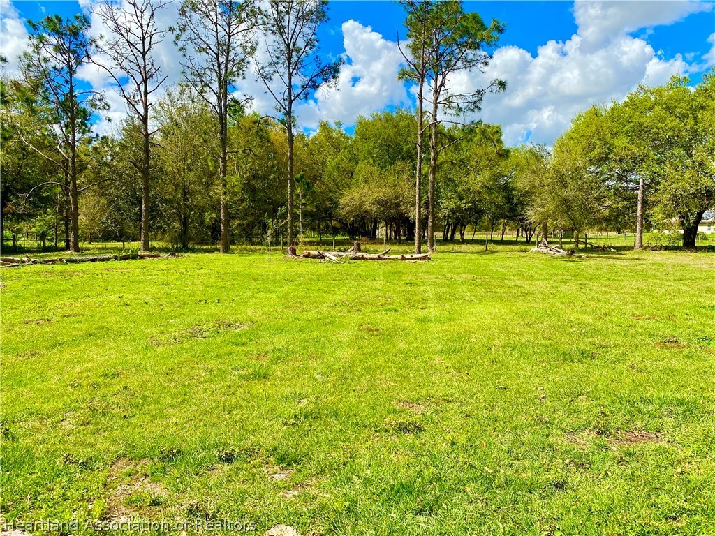 538 Hayman Road Wauchula, FL 33873 - Photo 6 of 21