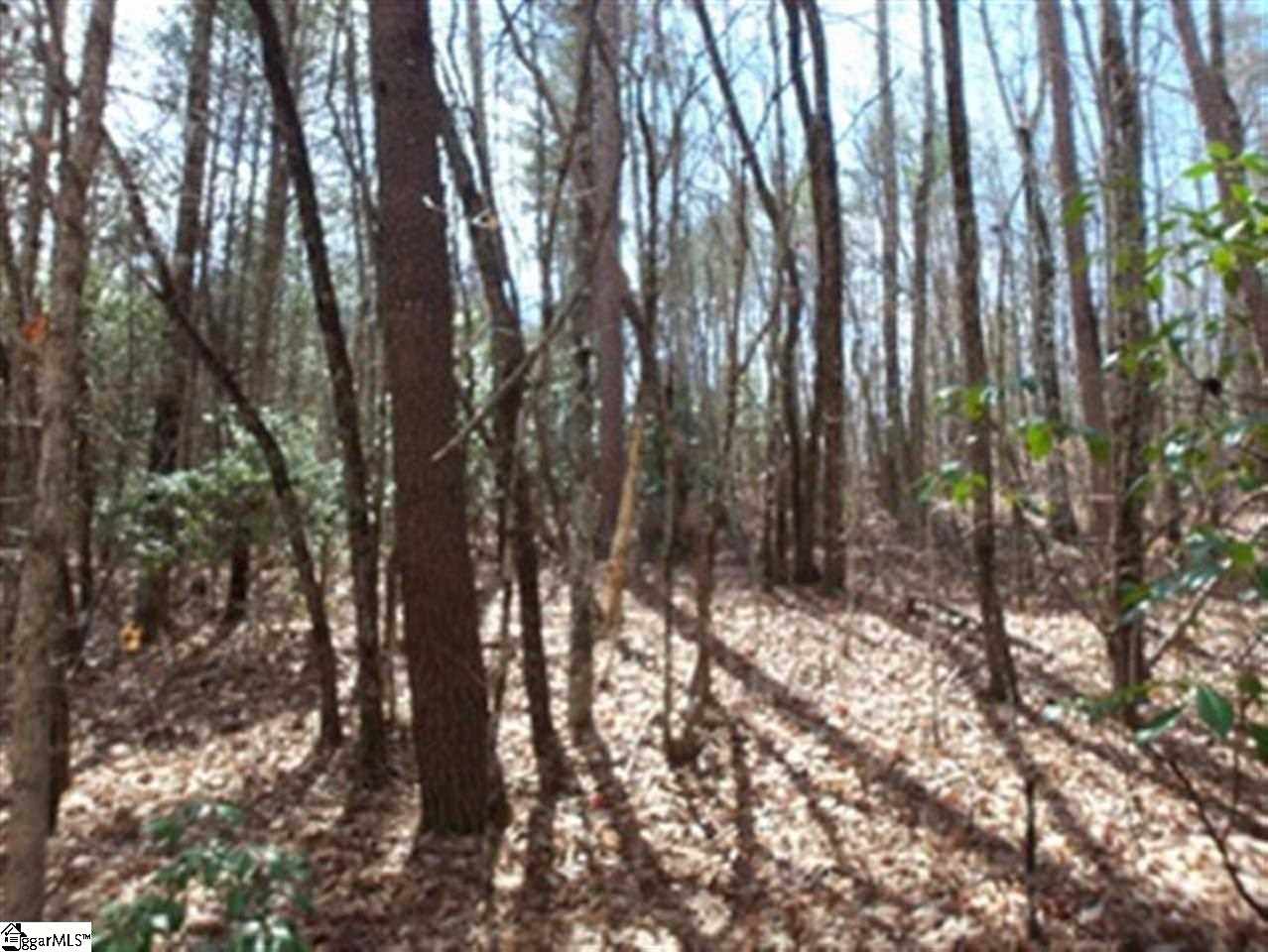 Grove Road Pickens, SC 29671 - Photo 2 of 7