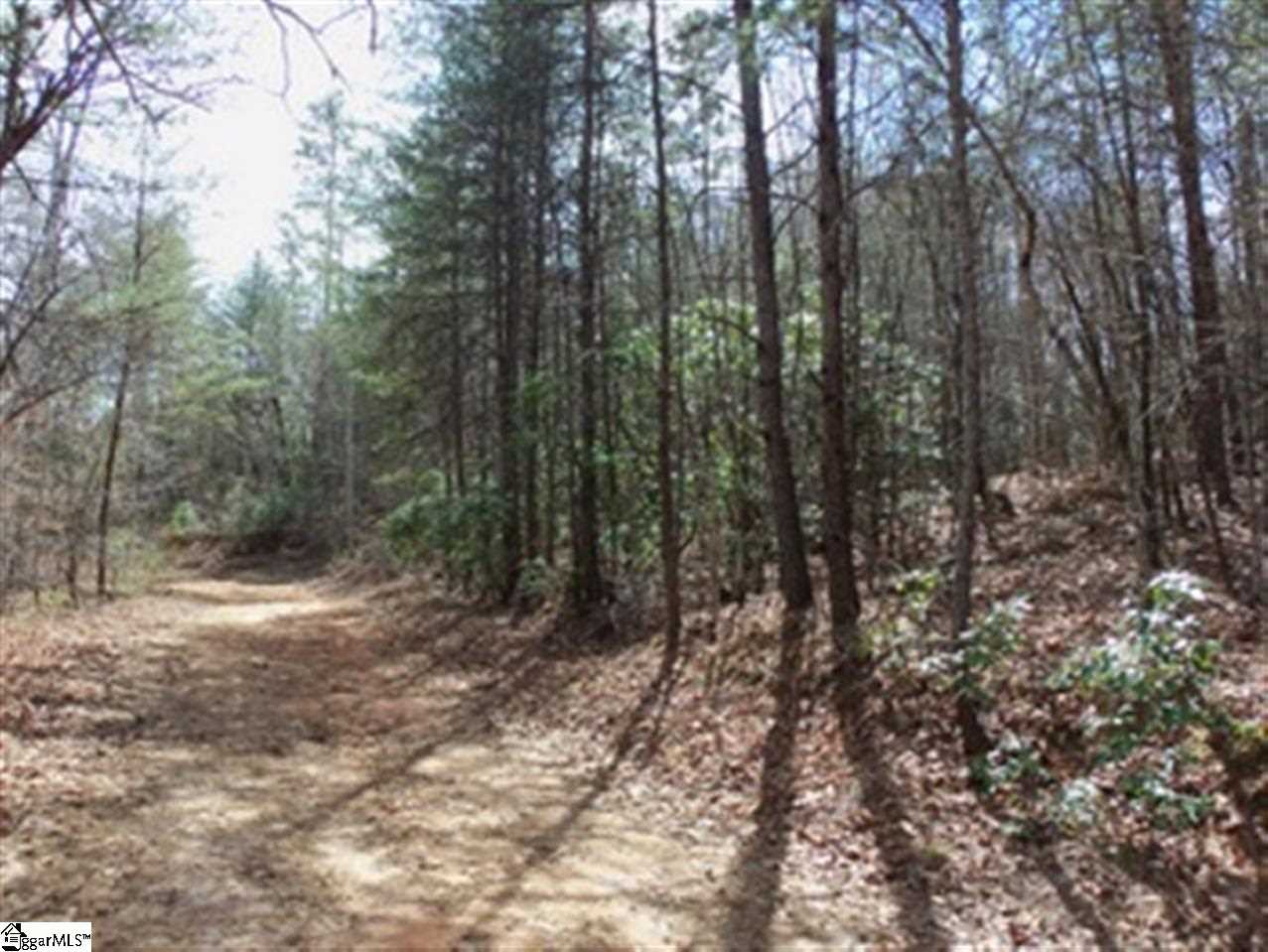 Grove Road Pickens, SC 29671 - Photo 3 of 7