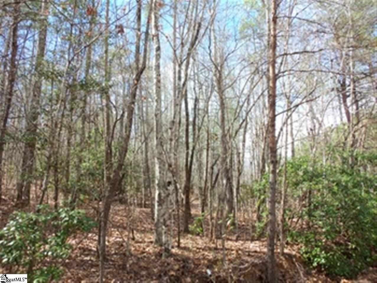 Grove Road Pickens, SC 29671 - Photo 4 of 7