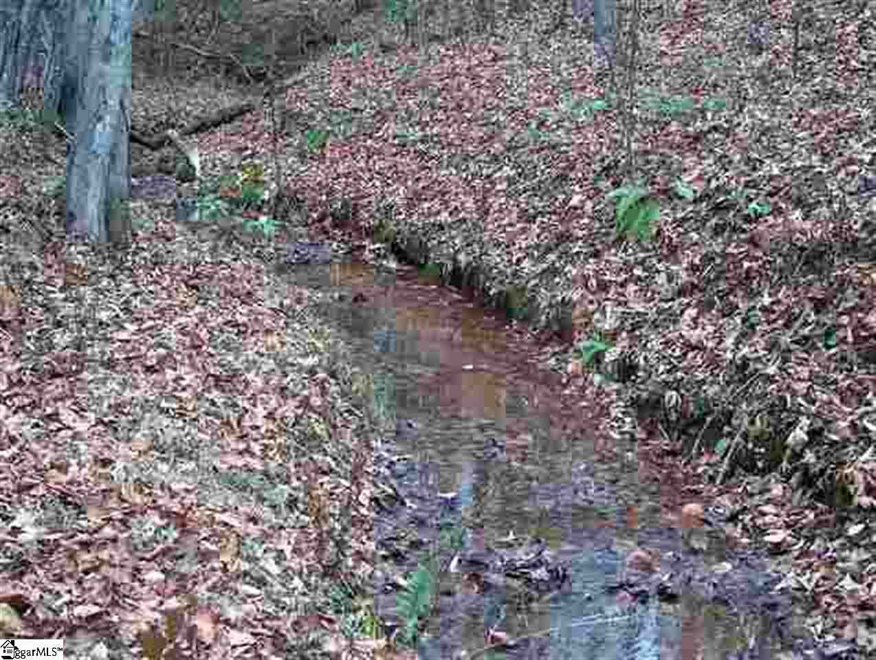 Grove Road Pickens, SC 29671 - Photo 5 of 7