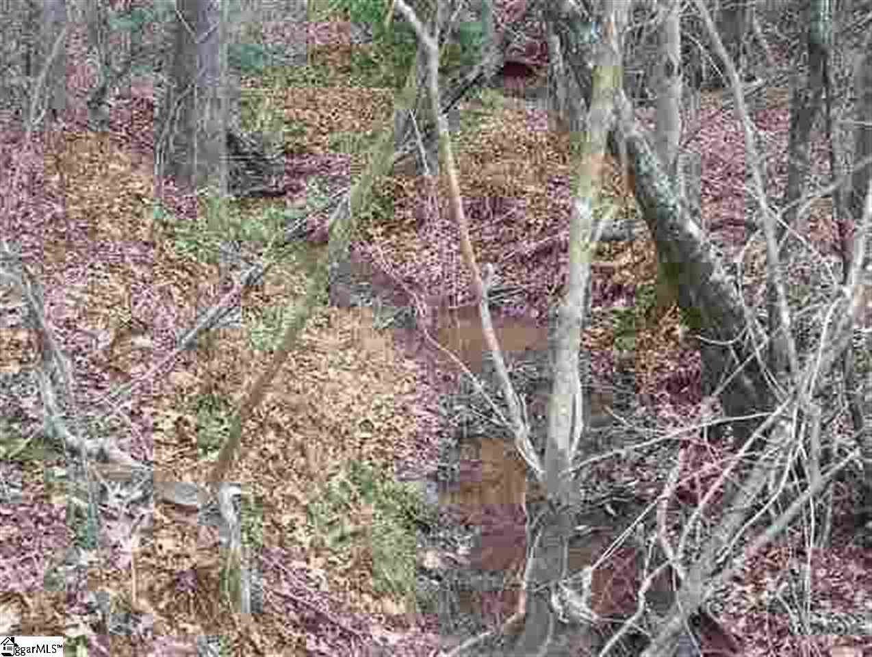 Grove Road Pickens, SC 29671 - Photo 6 of 7