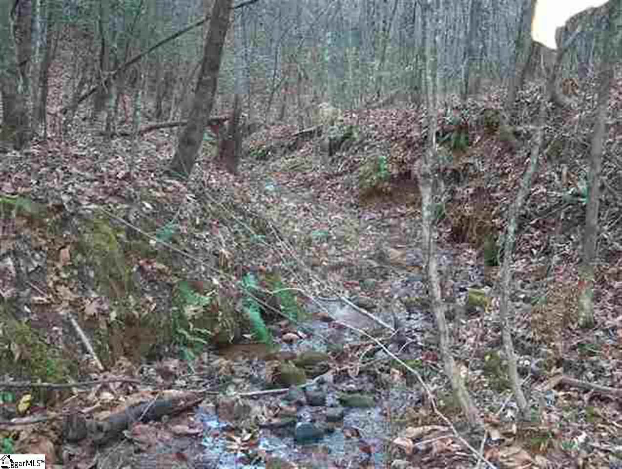 Grove Road Pickens, SC 29671 - Photo 7 of 7