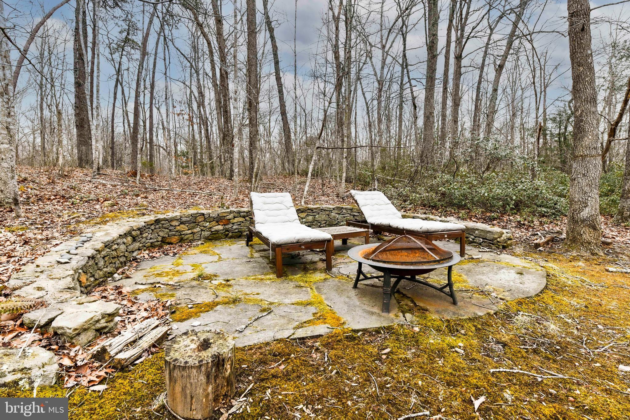 6069 Free State Road Marshall, VA 20115 - Photo 8 of 57 Multiple outdoor entertaining spaces