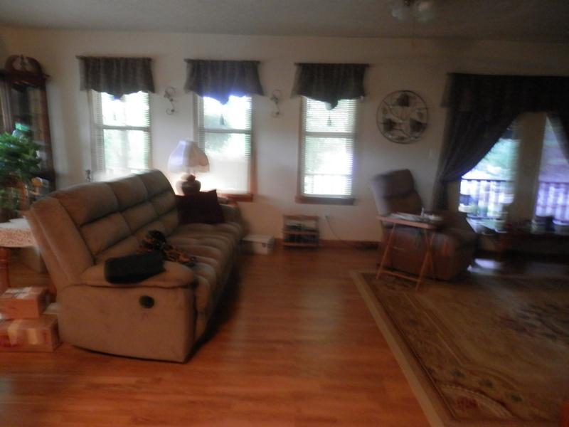 245 Smithfield Road Tellico Plains, TN 37385 - Photo 4 of 38 P7300304