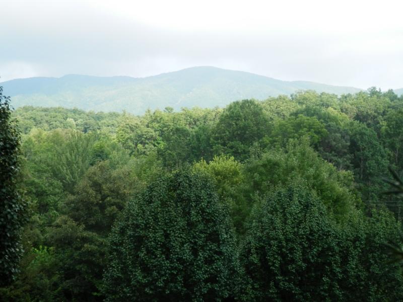 245 Smithfield Road Tellico Plains, TN 37385 - Photo 7 of 38 P7300307