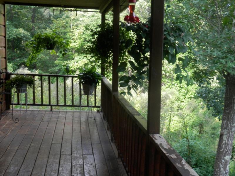 245 Smithfield Road Tellico Plains, TN 37385 - Photo 9 of 38 P7300309
