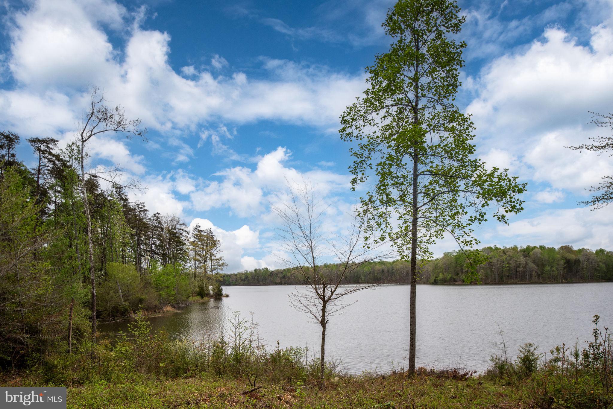 9813 Chessmans Court Fredericksburg, VA 22407 - Photo 11 of 89 Fishing Anyone?