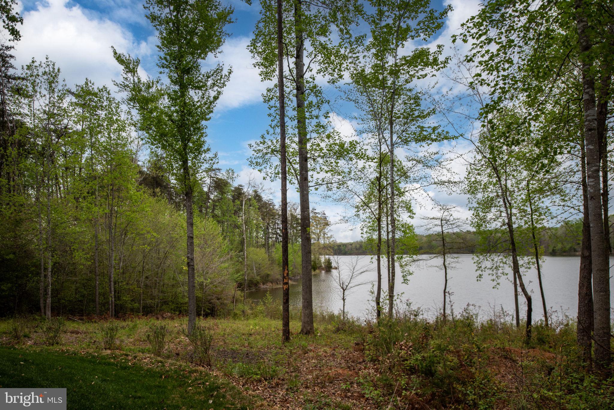 9813 Chessmans Court Fredericksburg, VA 22407 - Photo 12 of 89 Take in the Views!