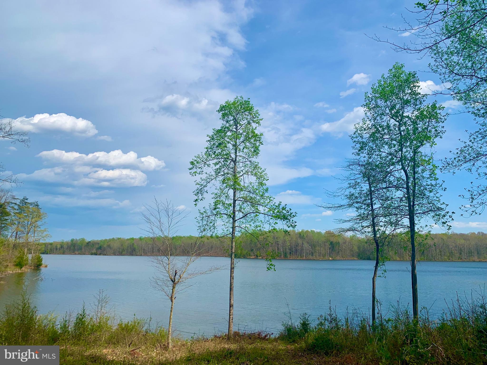 9813 Chessmans Court Fredericksburg, VA 22407 - Photo 18 of 89 Breathtaking!