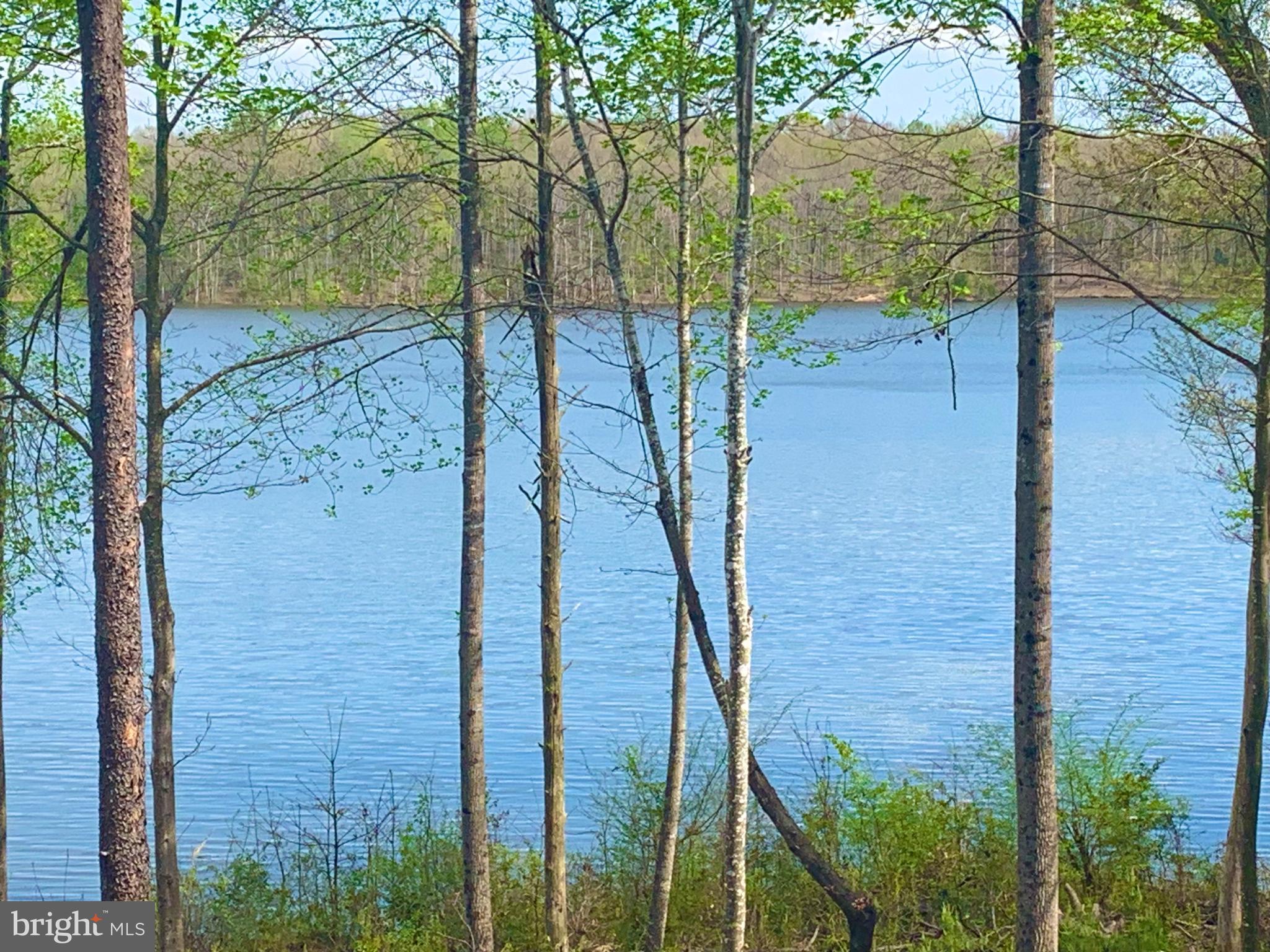 9813 Chessmans Court Fredericksburg, VA 22407 - Photo 19 of 89 So Serene!!!