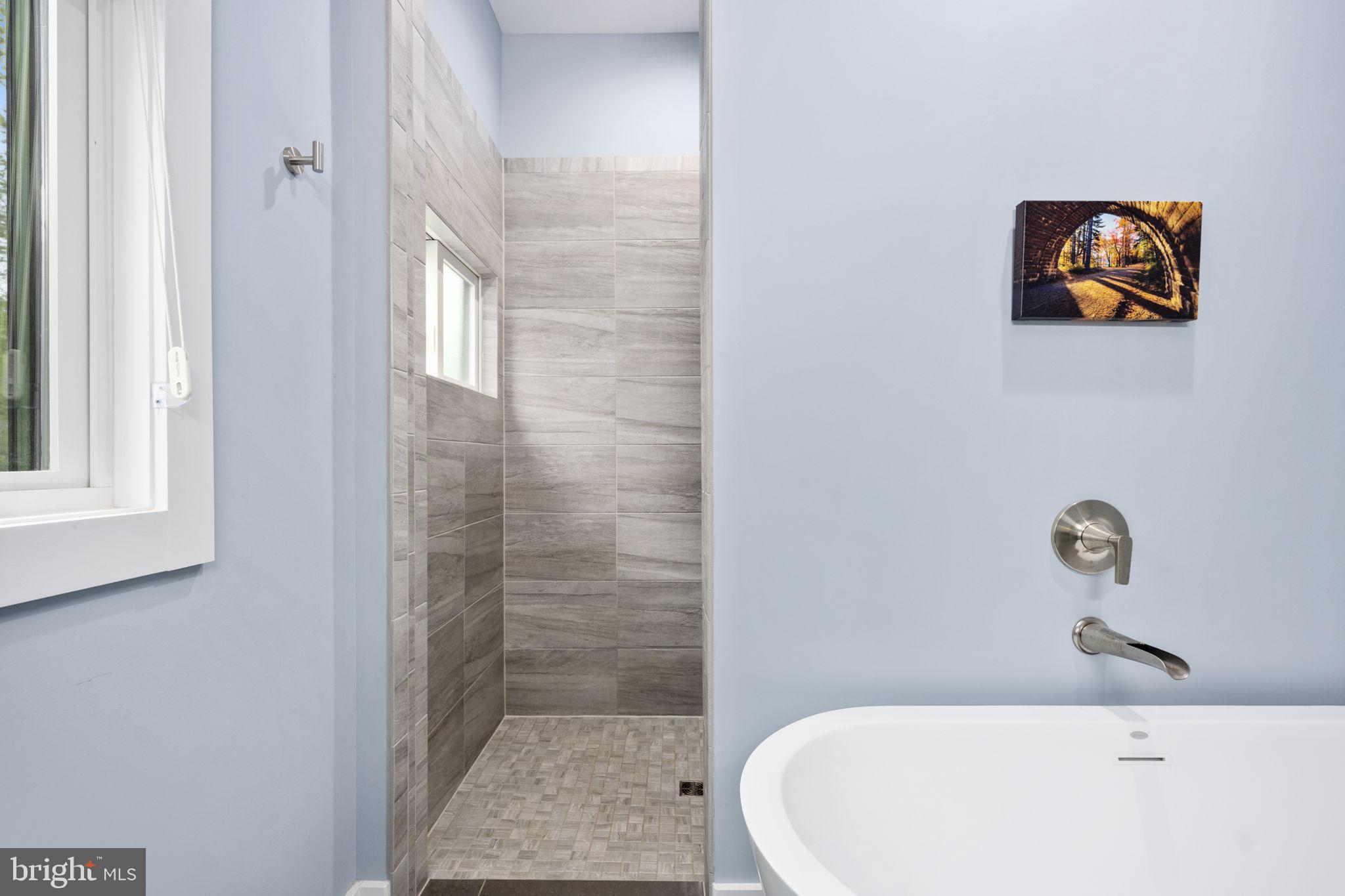 9813 Chessmans Court Fredericksburg, VA 22407 - Photo 57 of 89 Walk in shower!