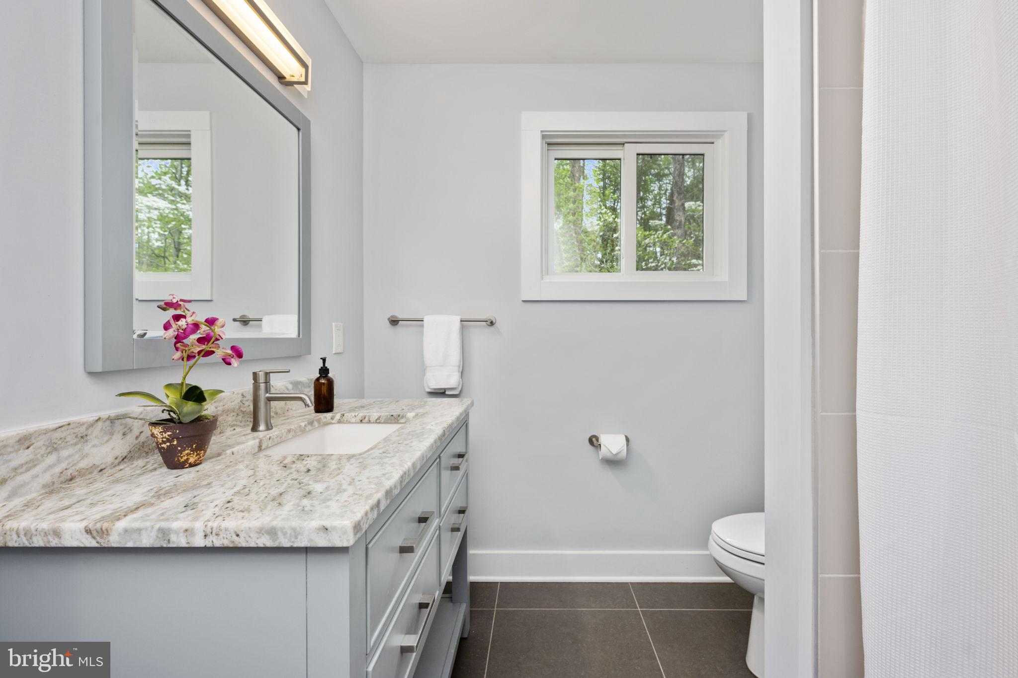 9813 Chessmans Court Fredericksburg, VA 22407 - Photo 71 of 89 Beautiful Granite!