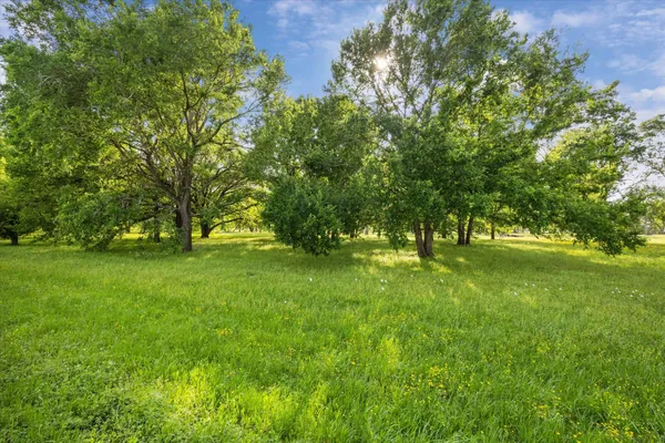 a view of backyard with large trees